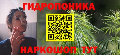 PSILOCYBIN Новодвинск