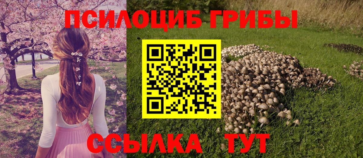 Галлюциногенные грибы мухоморы  продажа наркотиков  Пугачёв  Вход с VPN 